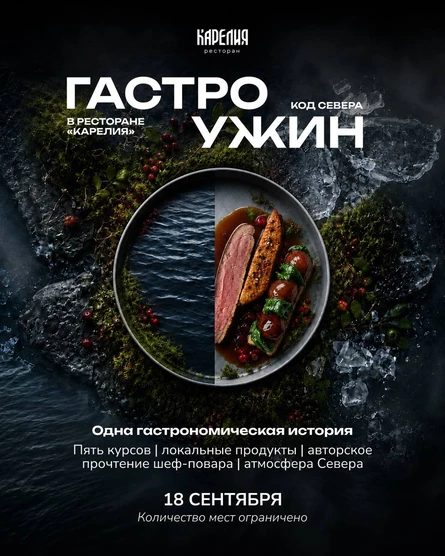 Гастоужин "Код севера"