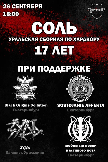 СОЛЬ – 17 лет