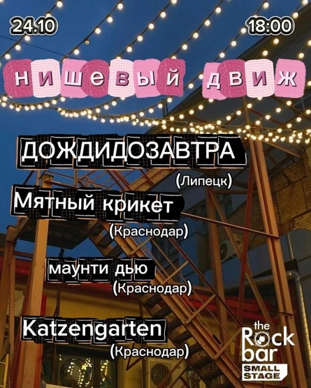 НИШЕВЫЙ ДВИЖ | 24.10 | Краснодар | Rockbar Small
