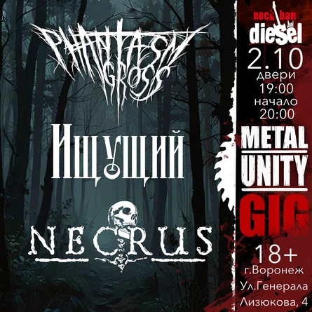 METAL UNITY GIG | ВОРОНЕЖ | 02.10.26