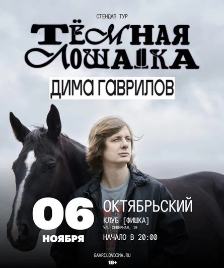 СОЛЬНЫЙ  СТЕНДАП  КОНЦЕРТ ДИМЫ ГАВРИЛОВА г. Москва
