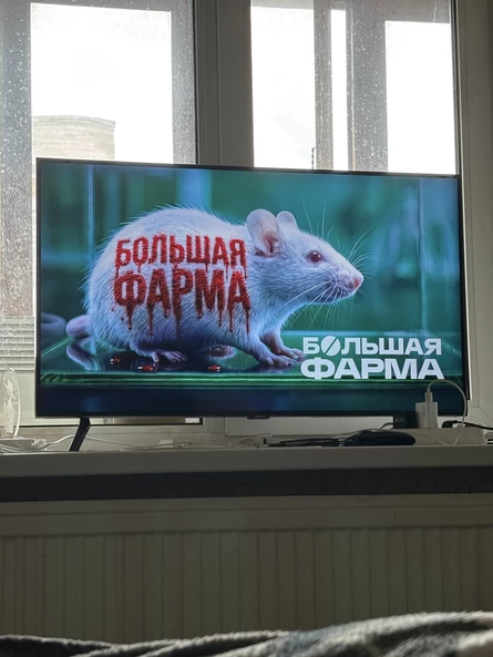 STAMM #1: Выбирай любовь
