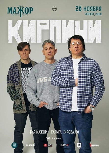 Кирпичи