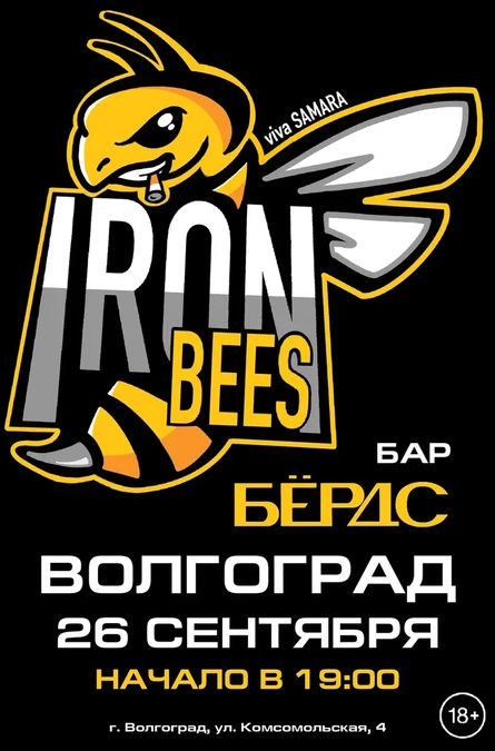 17 лет THE IRON BEES! г. Волгоград
