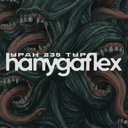 hanygaflex | 24.10 | Саратов