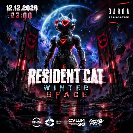 Resident Cat Winter Space