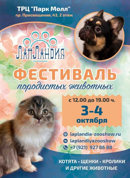 Фестиваль породистых домашних животных "ЛапЛандия"