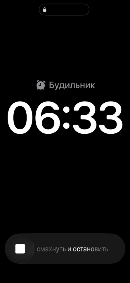 SN party