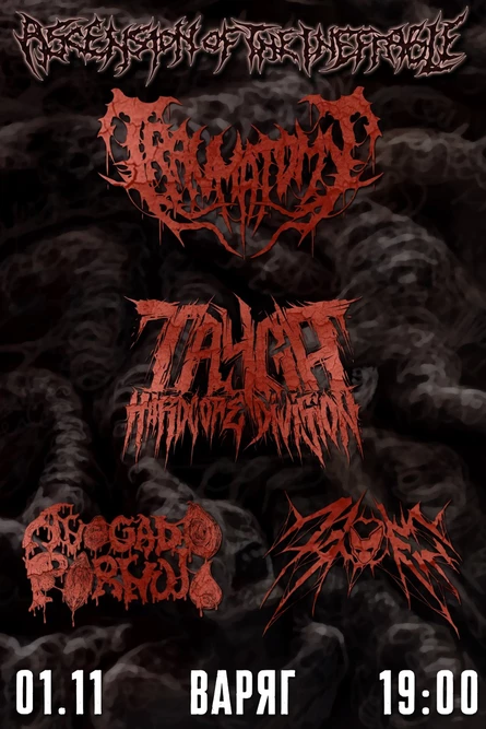 Traumatomy • 01.11 • Томск (Варяг)