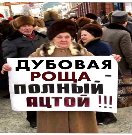 Дубовая Роща. Остров сокровищ - 2. Пиратская копия