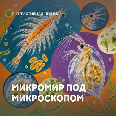Интерактив «Живой микромир под микроскопом»