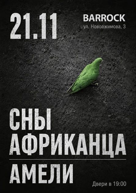 СНЫ АФРИКАНЦА & АМЕЛИ | 21 НОЯБРЯ