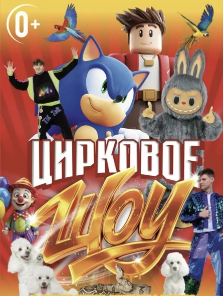 Цирковое шоу