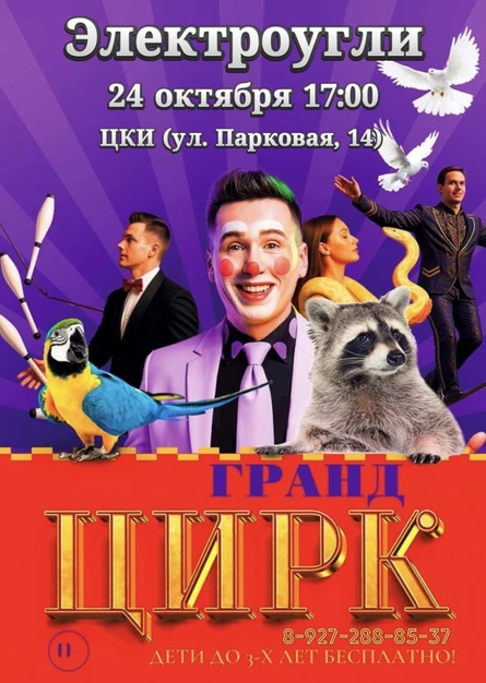 Цирк «Гранд» Электроугли