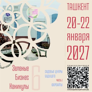 Часть 1. Зеленые бизнес каникулы в Ташкенте