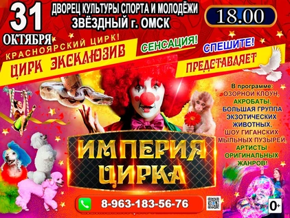 ИМПЕРИЯ ЦИРКА ДКСМ ЗВЁЗДНЫЙ