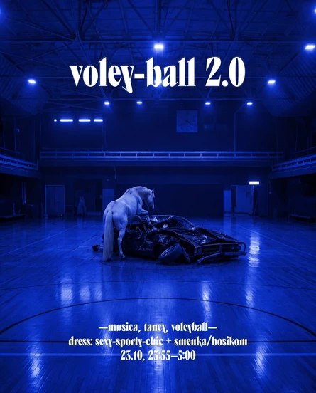 VOLLEY BALL