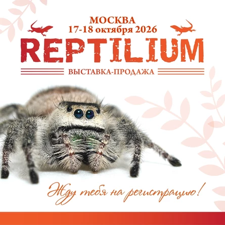 Рептилиум МСК октябрь 2026