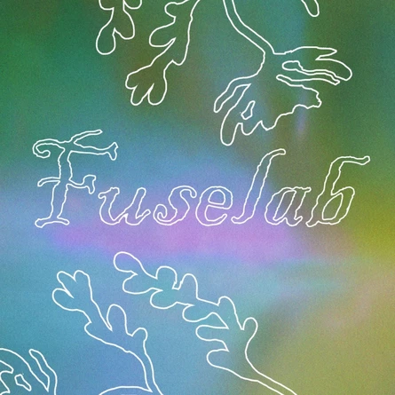 FUSELAB — ночной фестиваль в Берёзке, 13.11