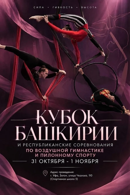 Кубок РБ по воздушной гимнастике и пилонному спорту 2026