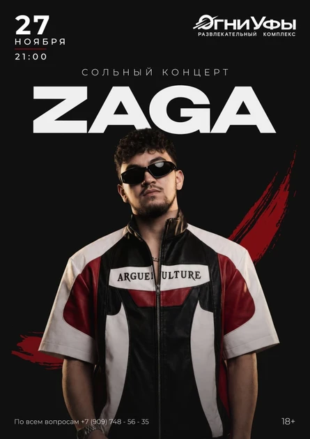 Сольный концерт Zaga