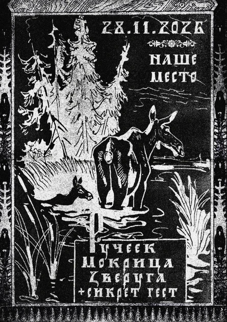 28.11.26 Ручеек, Мокрица, ZVERUGA + Secret guest