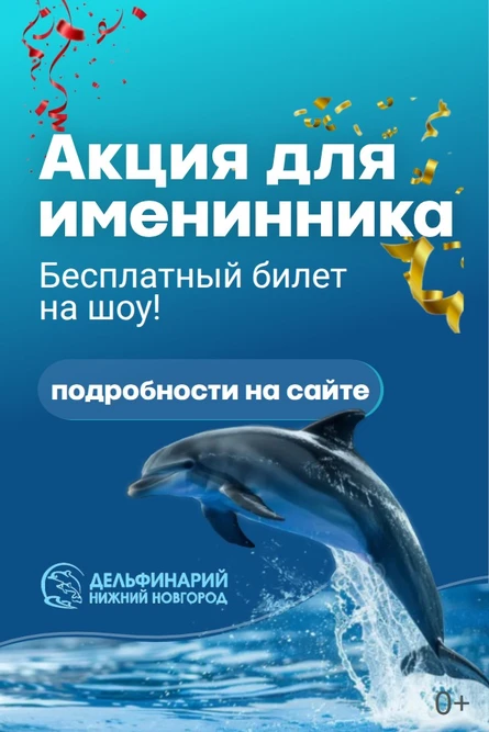 Эхо будущего