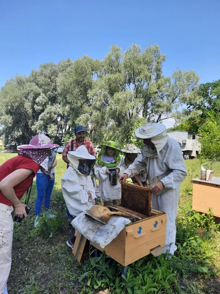 Экскурсия на пасеку "Я Пчеловод"
