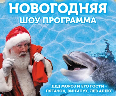 Новогоднее шоу